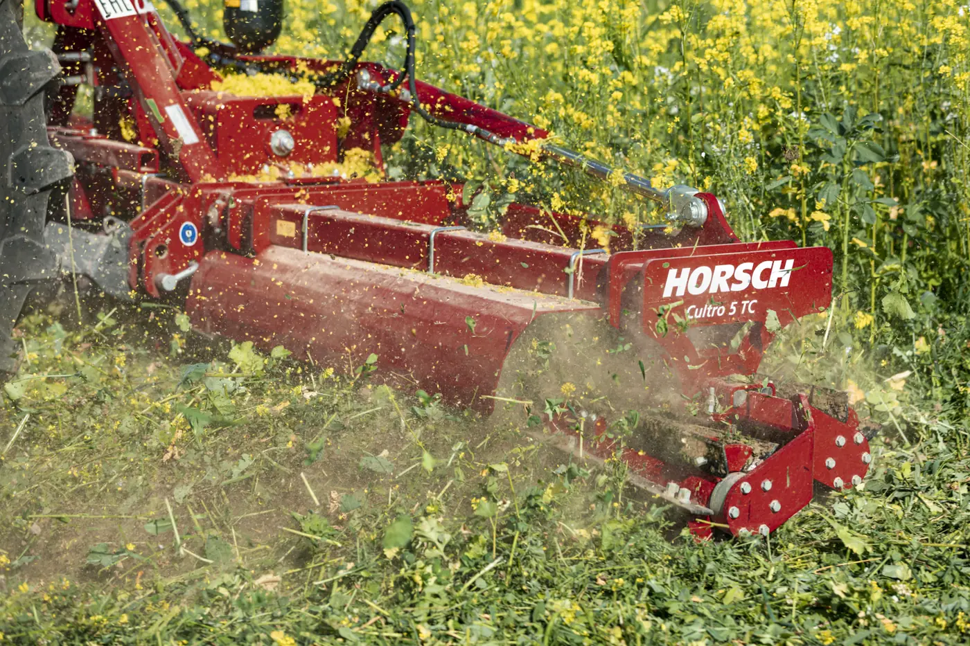 Primer pla d'un Cultro 5 TC passant per dins d'un cultiu de flors grogues