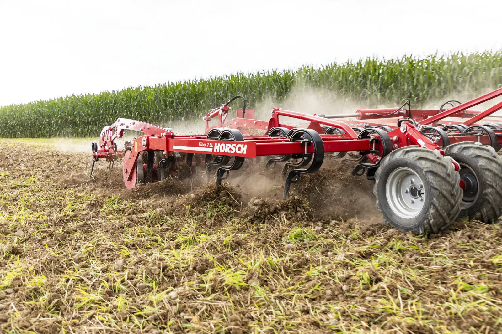 Cultivador Horsch Finer treballant arran de terra al costat d'un camp de blat de moro, amb pols
