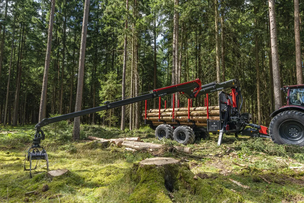La grua del Pirk amb la pinça baixada a terra al costat d'una soca acabada de tallar