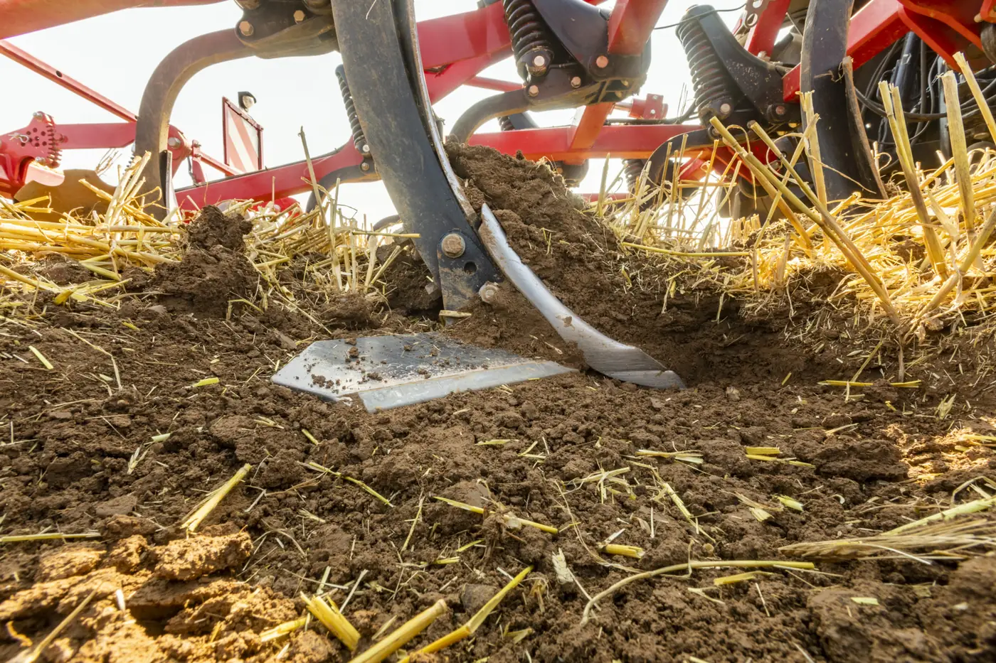 Primer pla a ras de terra d'una pua del cultivador amb la rella d'ala a la vista, dins d'un clot obert sota el rostoll